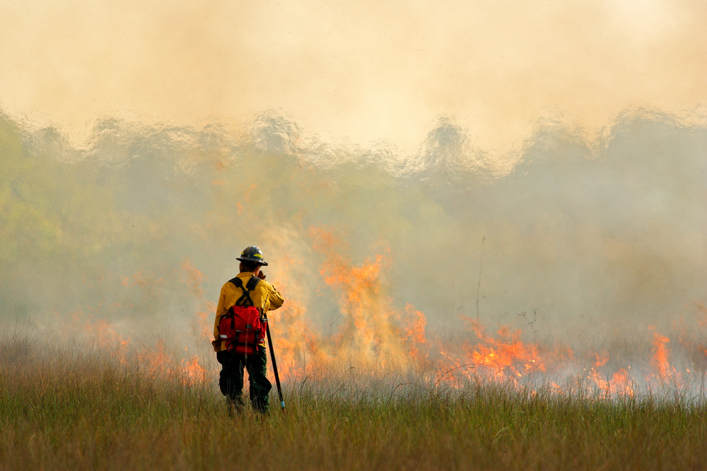 This Wildfire Season, Prep Your Property for Prevention