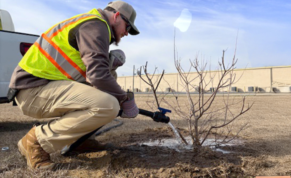 Experience ultimate comfort with HAIX work boots, perfect for outdoor tasks like tree planting.