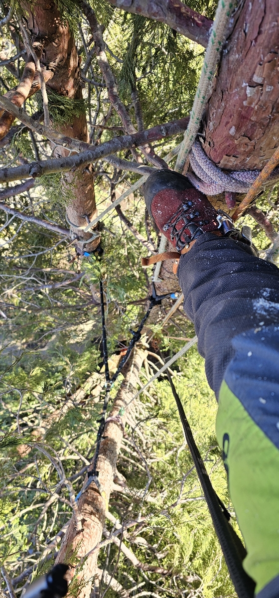 Tyler-Zuniga-in-HAIX-Protector-Ultra-Red-Boots