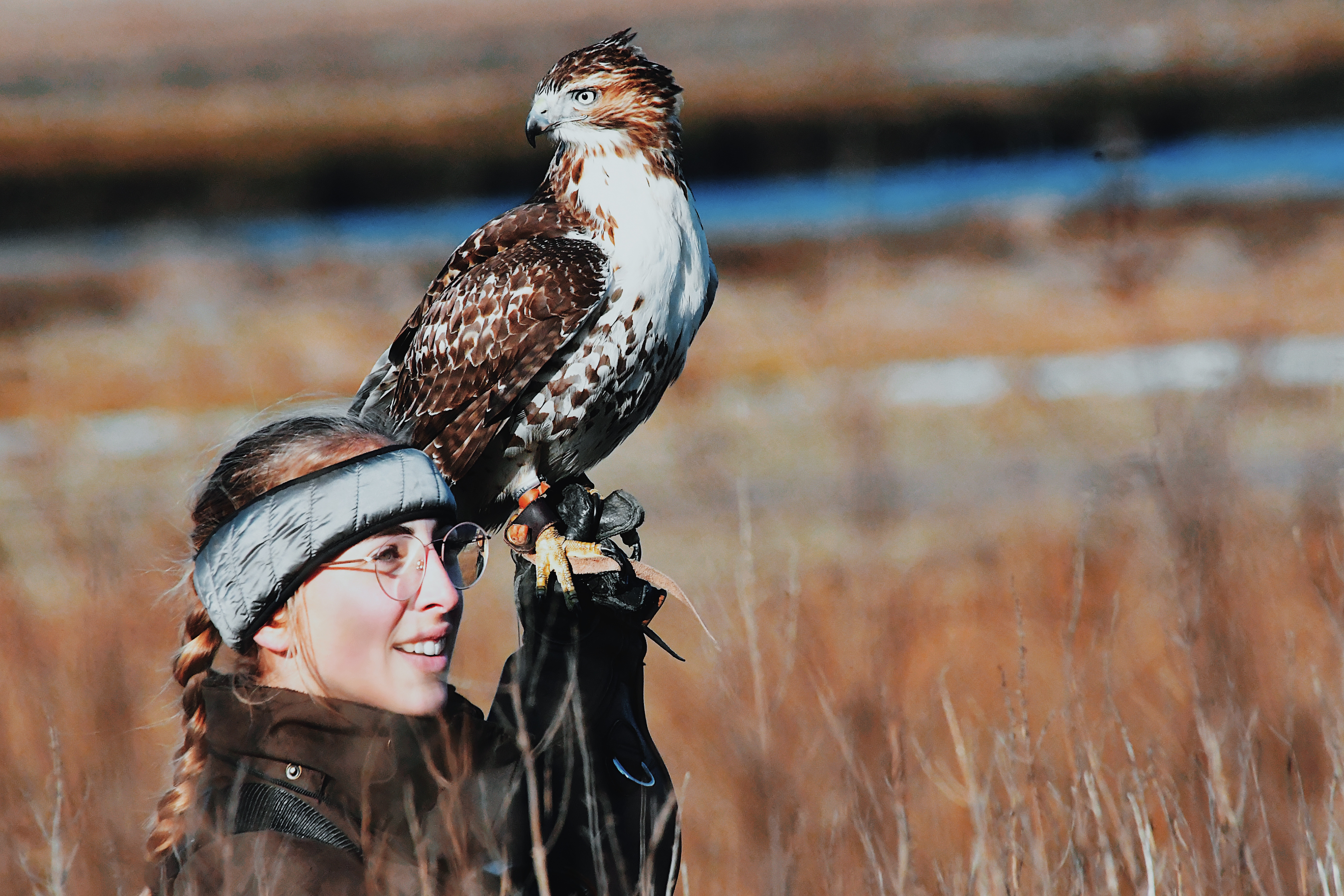 A smiling woman wearing HAIX gear holds a majestic hawk on her gloved hand while standing in a scenic outdoor field.